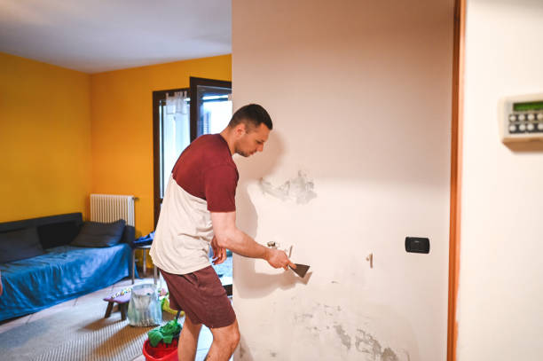 Best Same-Day Mold Removal  in Rothsville, PA